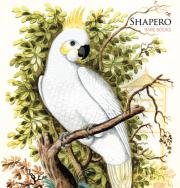 Shapero Ornithology
