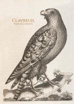 Falconry petitformat couv