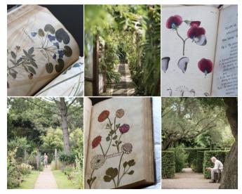 Chelsea Physic Garden collage