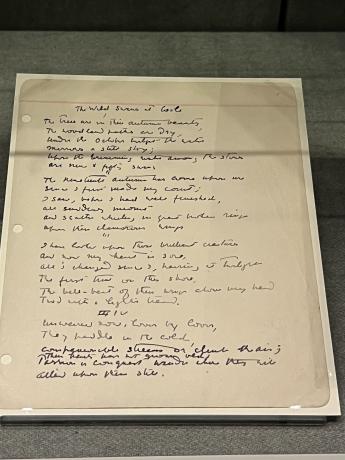 Yeats The White Swans