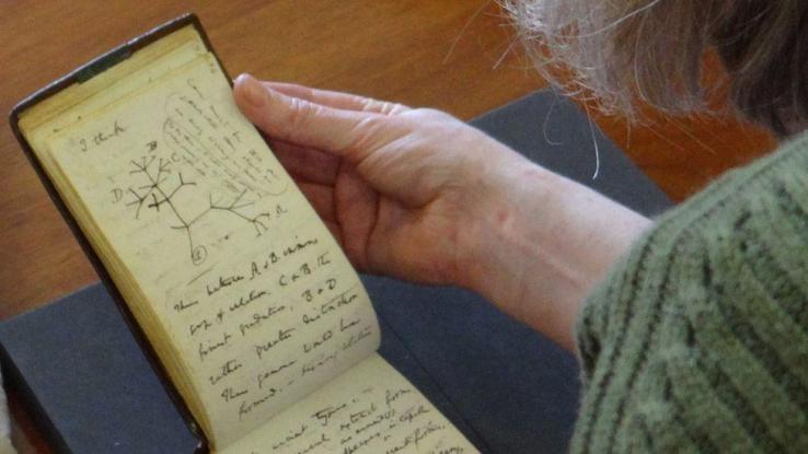 Cambridge announces the safe return of the Darwin notebooks ...