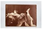 COLETTE Léopold Émile REUTLINGER Portrait photographique de Colette à la peau de lion Paris 1907 287x204cm une photographie contrecollée sur carton