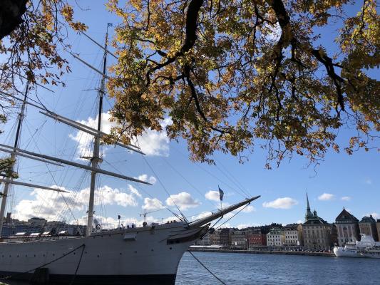 Stockholm A Elstner 2020