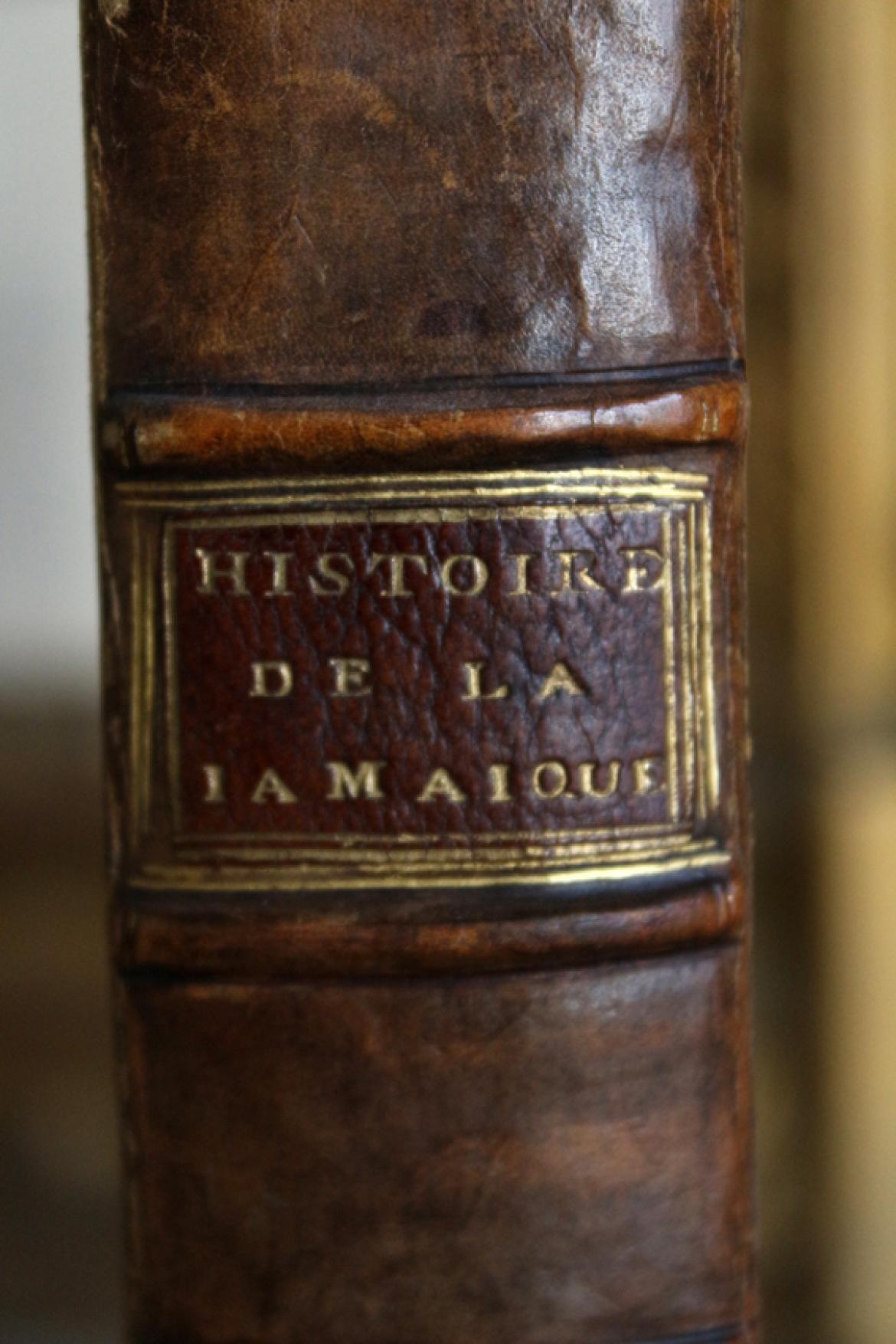 Manuel De L'Histoire De La Peinture (1863) - 2 Volumes En Français, Reliure Cuir, édition Originale - Très Bon état