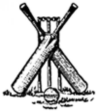 Articles cricketbat3