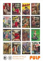 Catalogs images 3028 books 20of 20kells pulp 2016 cover